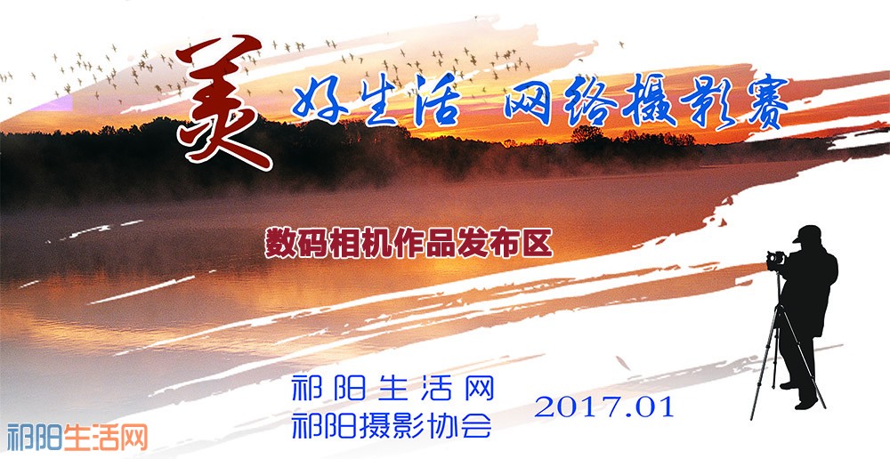 727102507717516732数码.jpg
