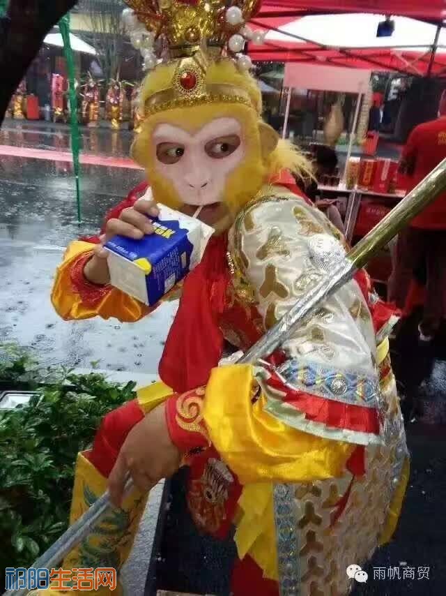 L9MZ5nmYYmIf.jpg