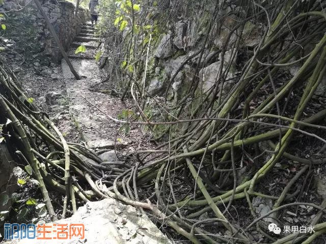 微信图片_20170818093532.jpg