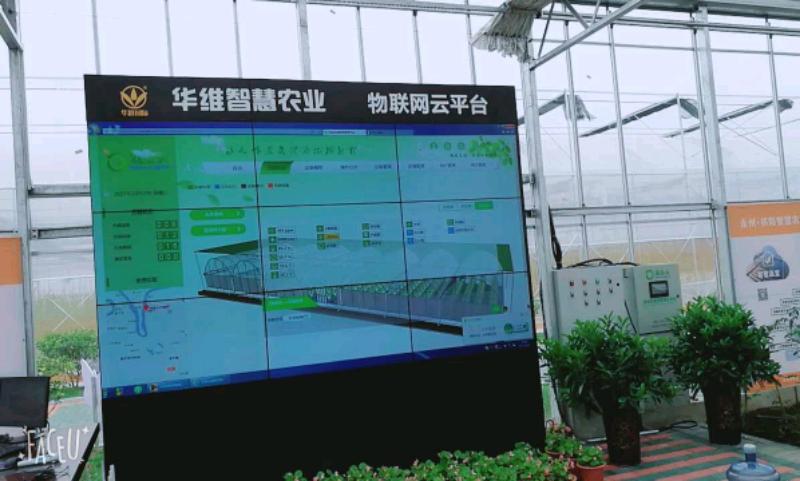 mmexport1507512955710.jpeg