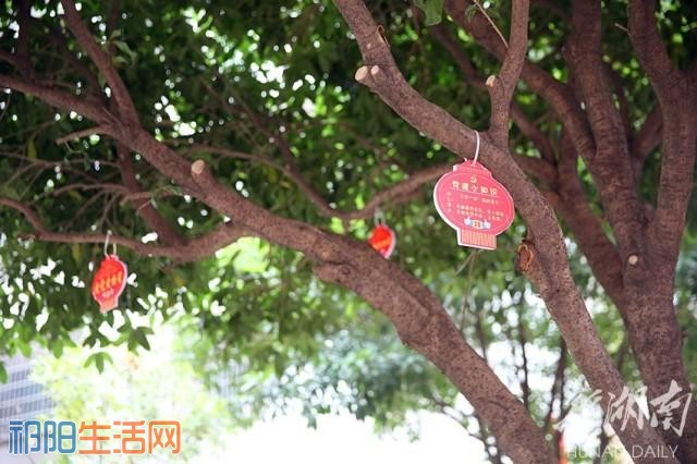 微信图片_20171214232150.jpg
