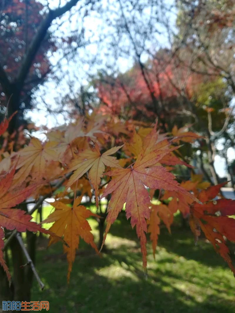 IMG_20171221_111340.jpeg