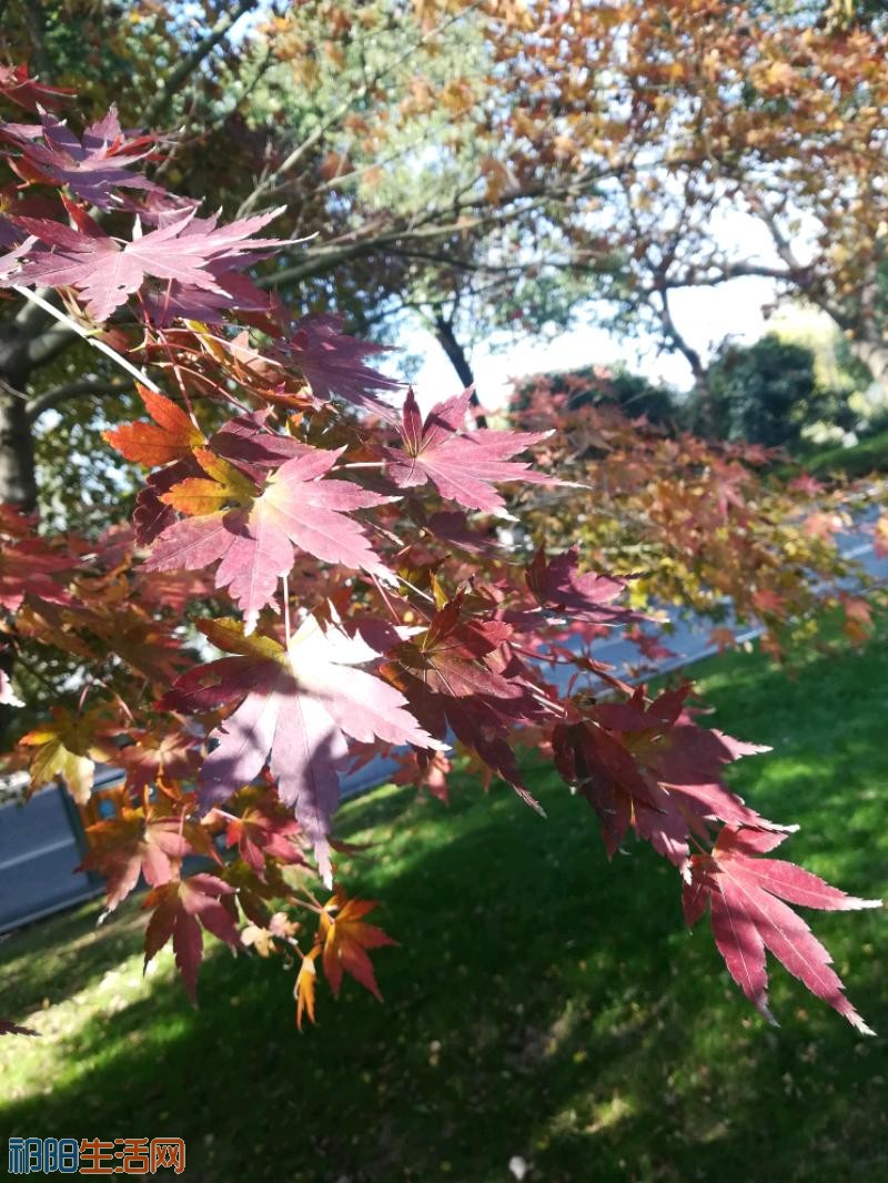 IMG_20171221_111408.jpeg