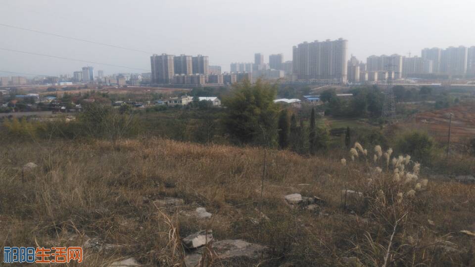 QQ图片20180111153458.jpg