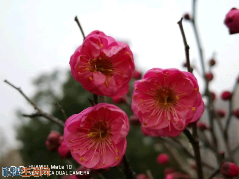 Y6206qs9G2B7.jpg