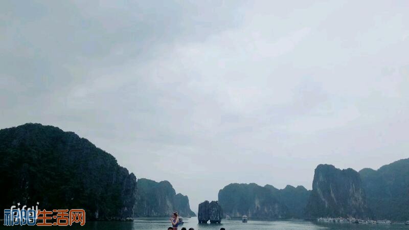 mmexport1522098104070.jpeg