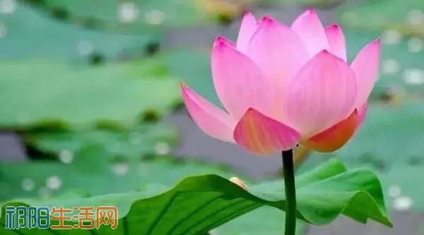 20180605_204116_052.jpg