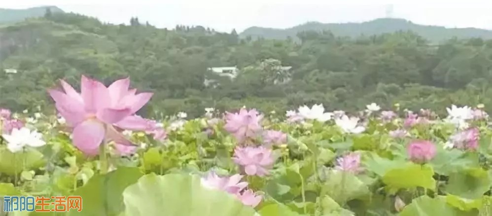 20180605_204116_054.jpg