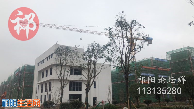 QQ图片20181220144252.jpg