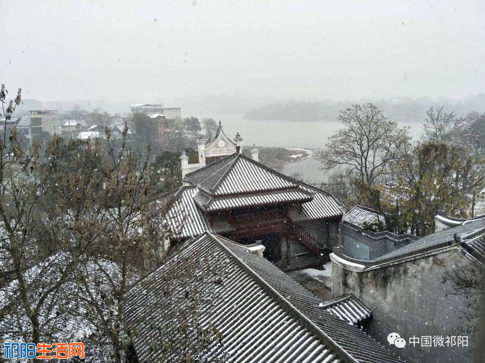 QQ图片20190126134649.jpg