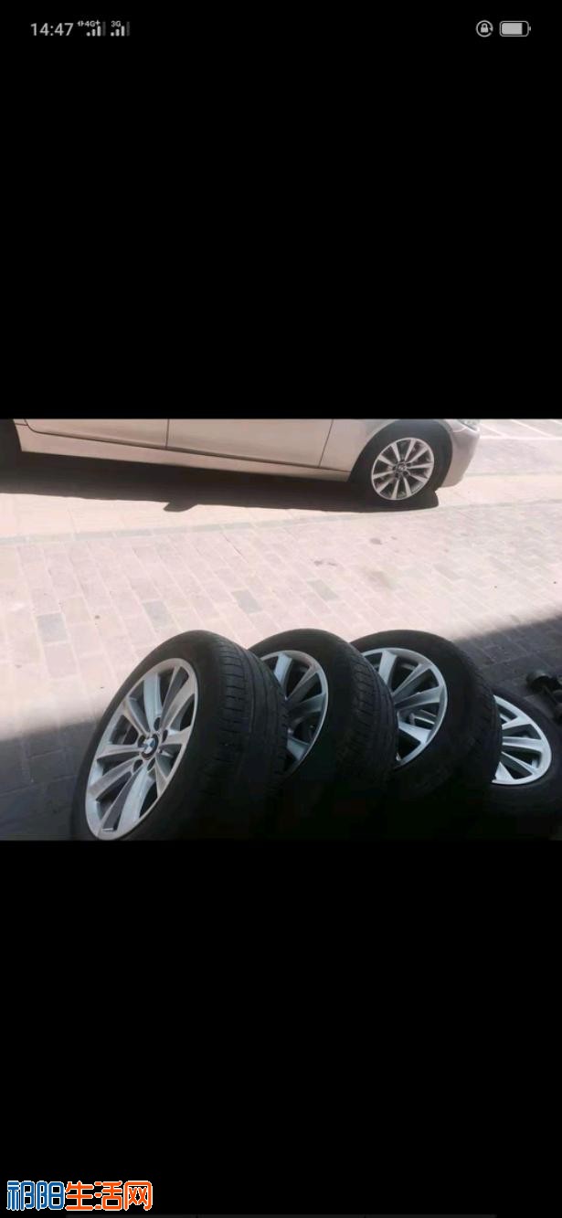 mmexport1551232316743.jpeg