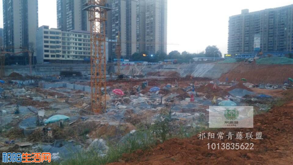 QQ图片20190703152500.jpg