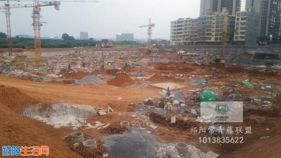 QQ图片20190703152504.jpg