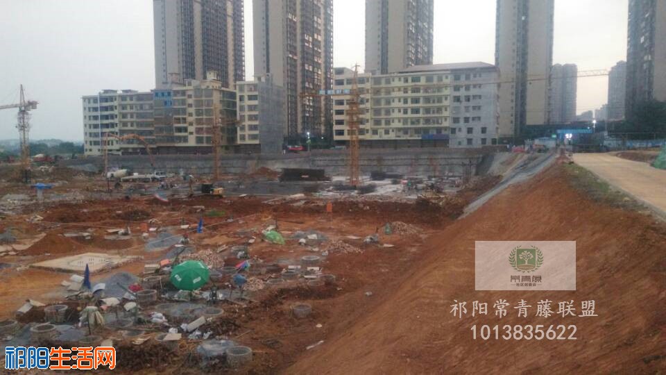 QQ图片20190703152507.jpg