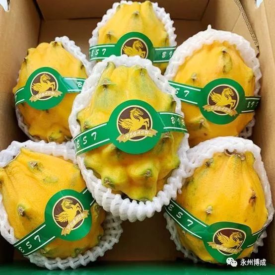 微信图片_20191010113655.jpg