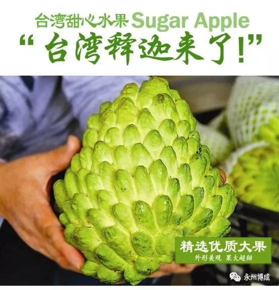 微信图片_20191010113704.jpg