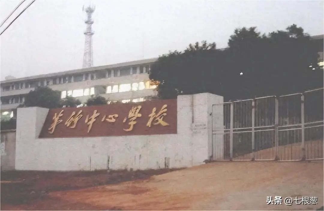 image (32).jpeg