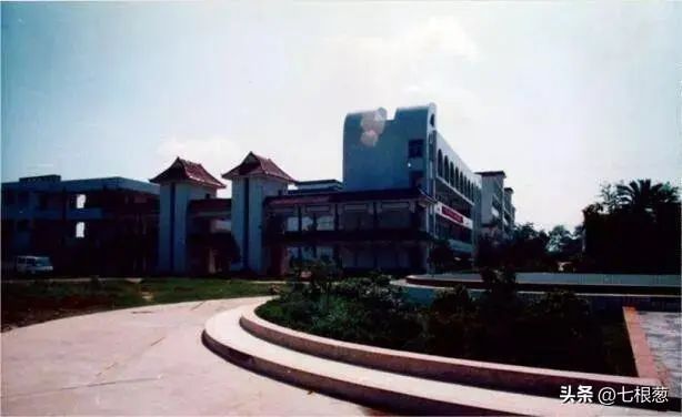 image (43).jpeg
