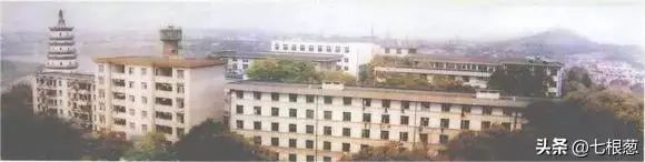 image (45).jpeg