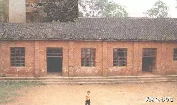 image (52).jpeg