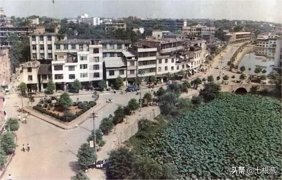 image (76).jpeg