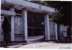 image (77).jpeg