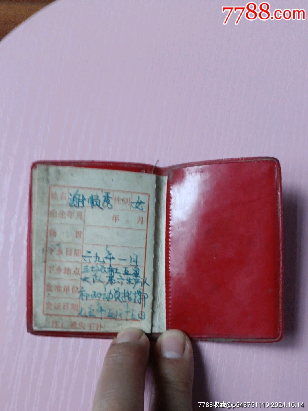 52526728d.jpg