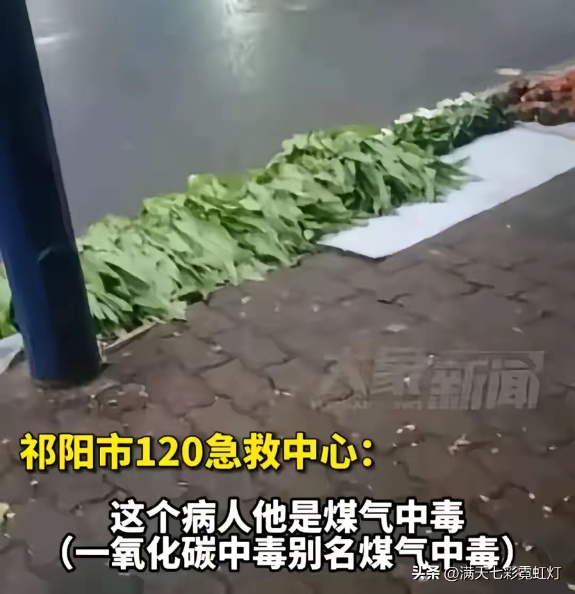 3c6ce2f8de5a4f07f5eed9c87c8ca18e.jpg