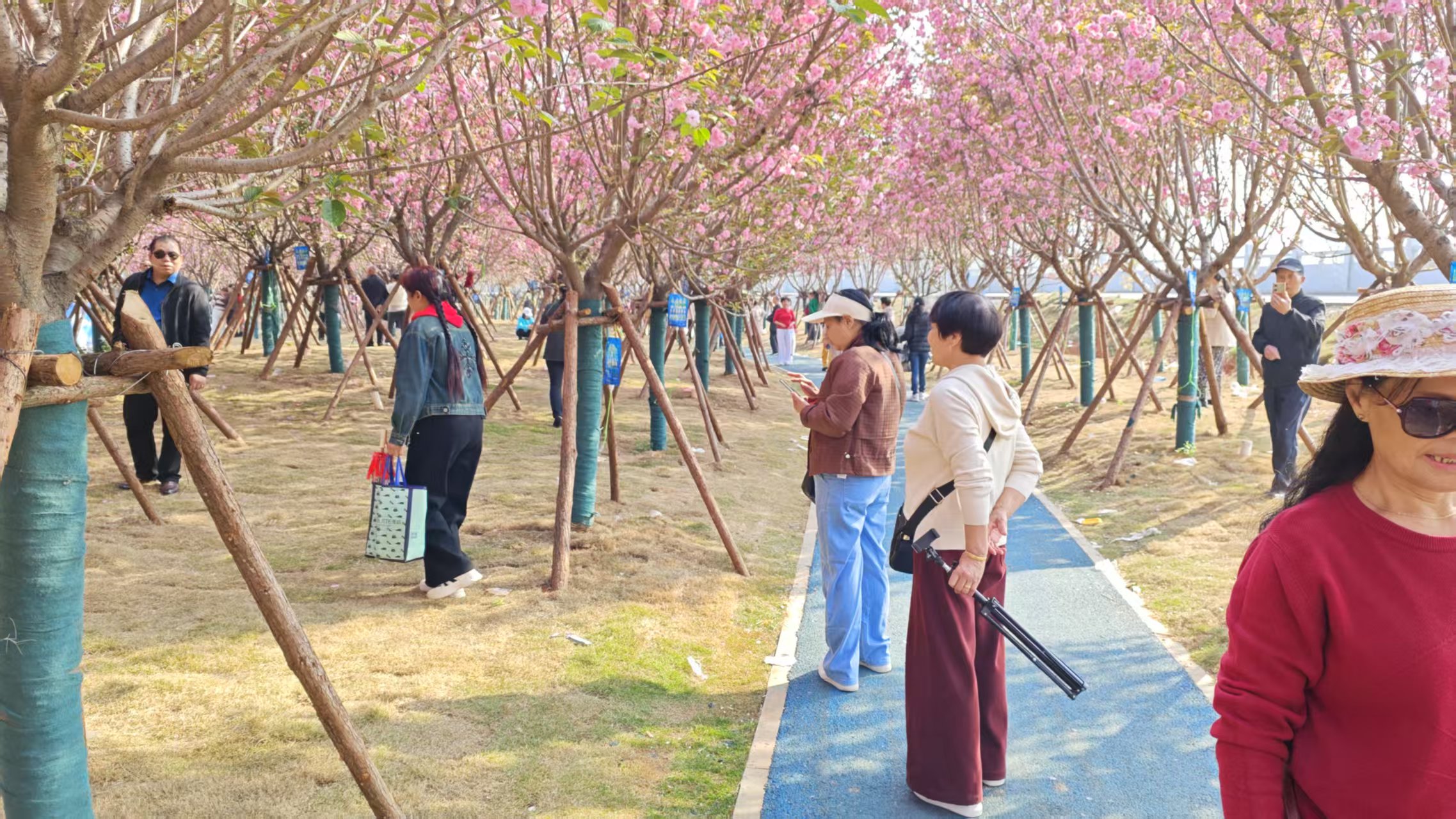 微信图片_20250324105417.jpg