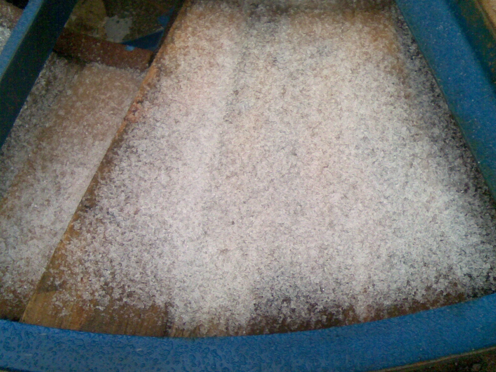 20101215(013).jpg