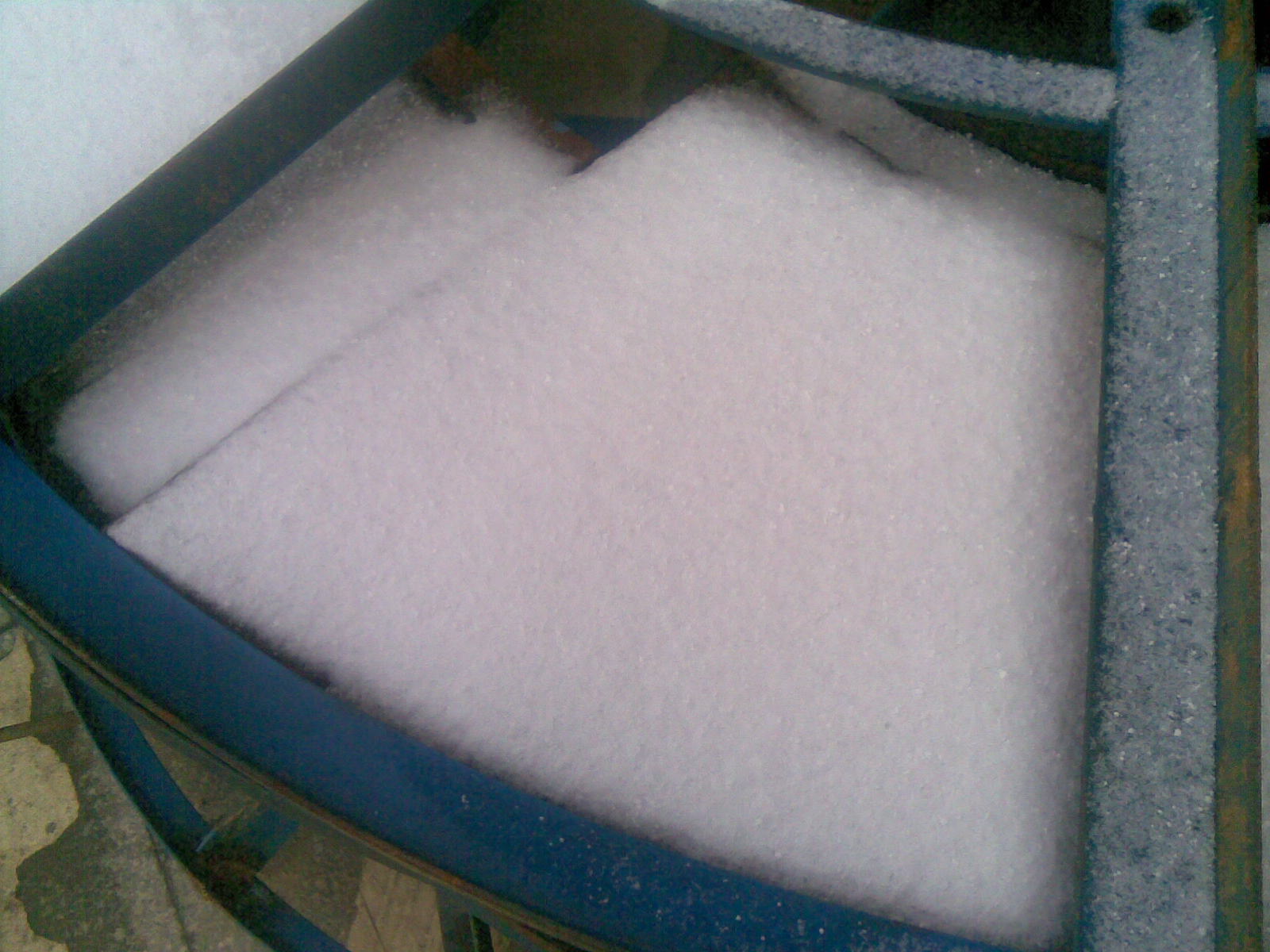 20101216.jpg