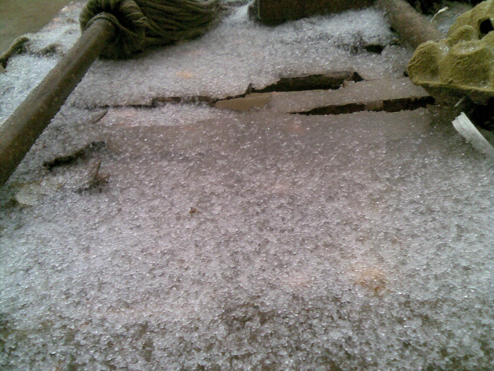 20101215(007).jpg