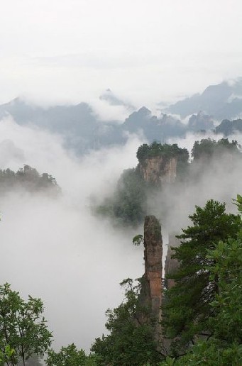 云海峰林.jpg