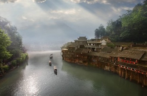 凤凰·.jpg