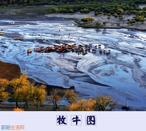 牧牛图
