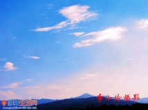 高原兰