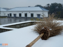 静 . 雪
