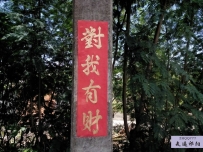 劫后泰国