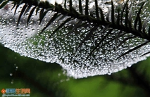 小品《水珠秀》组照