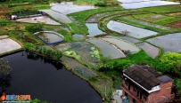 春野