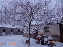 第2故乡下雪了