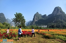 《出门俱是看花人》