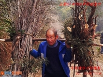 世外桃源：六角塘