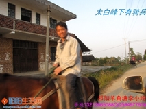 祁阳的鸟和太白峰的马 生活的英雄
