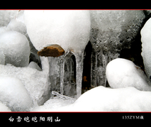 白雪皑皑阳明山