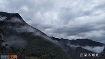 云深不知处
