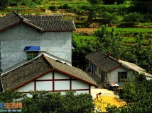 《单家独院》
