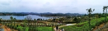 《永州植物园风光》