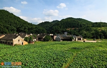 《李家大院》