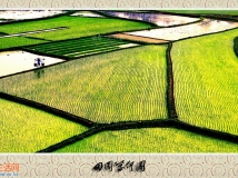 《田园几何图》